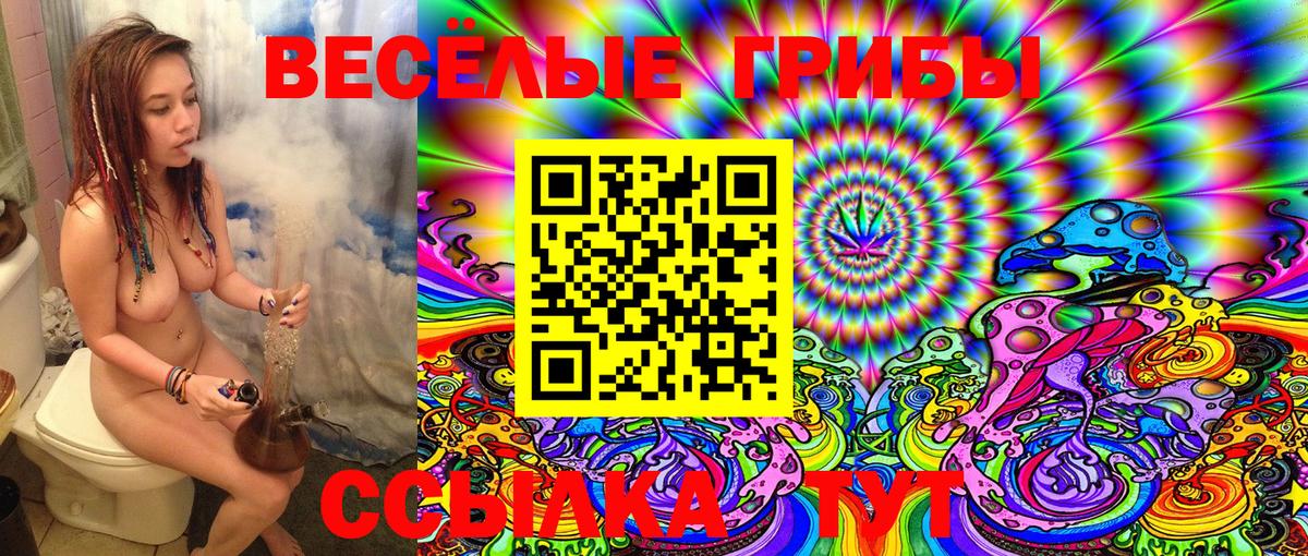 Псилоцибиновые грибы MAGIC MUSHROOMS  Псилоцибиновые грибы мухоморы  Гатчина  Вход с VPN 